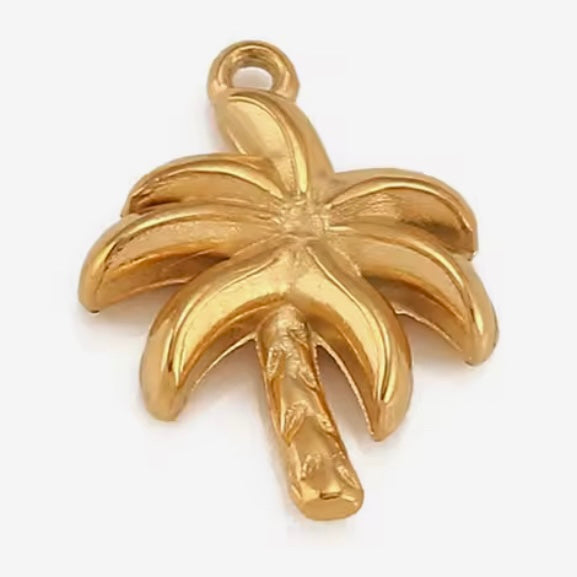 Charm - palmier