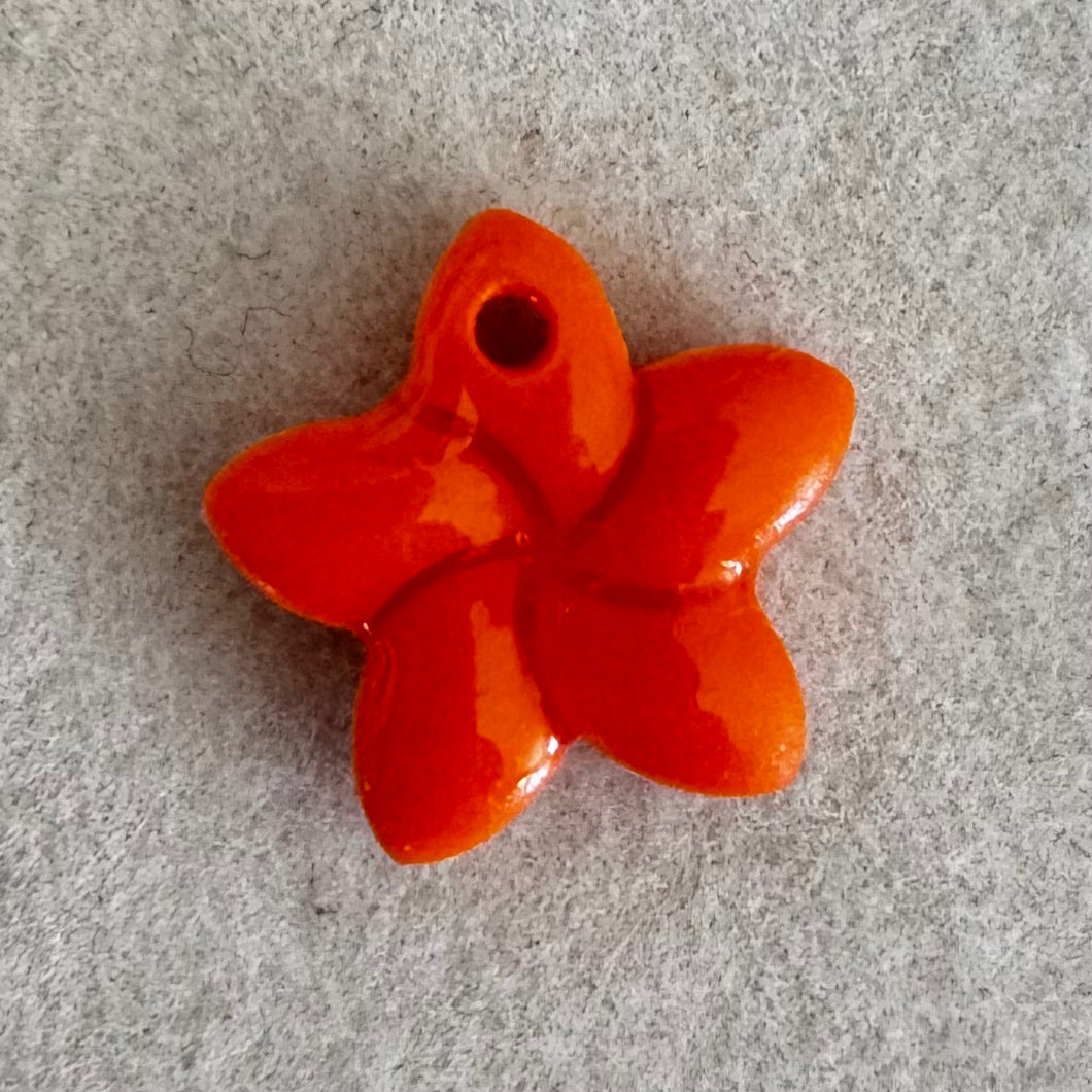 Charm - hawaii orange
